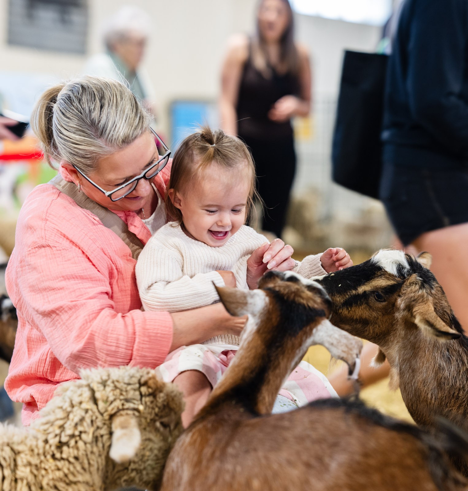 Get ready for the 2026 Melbourne Royal Show 